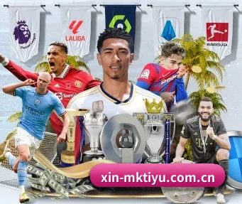 mk体育 APP