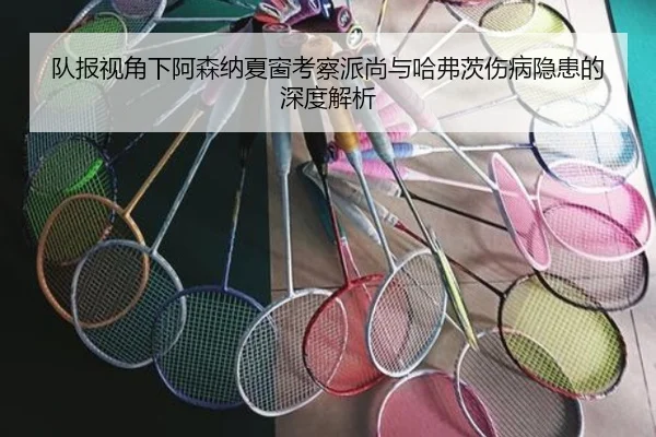 队报视角下阿森纳夏窗考察派尚与哈弗茨伤病隐患的深度解析